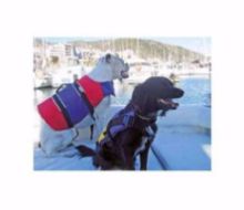 chaleco-mascota-35-kgs