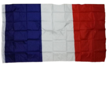 bandera-francia-100x70